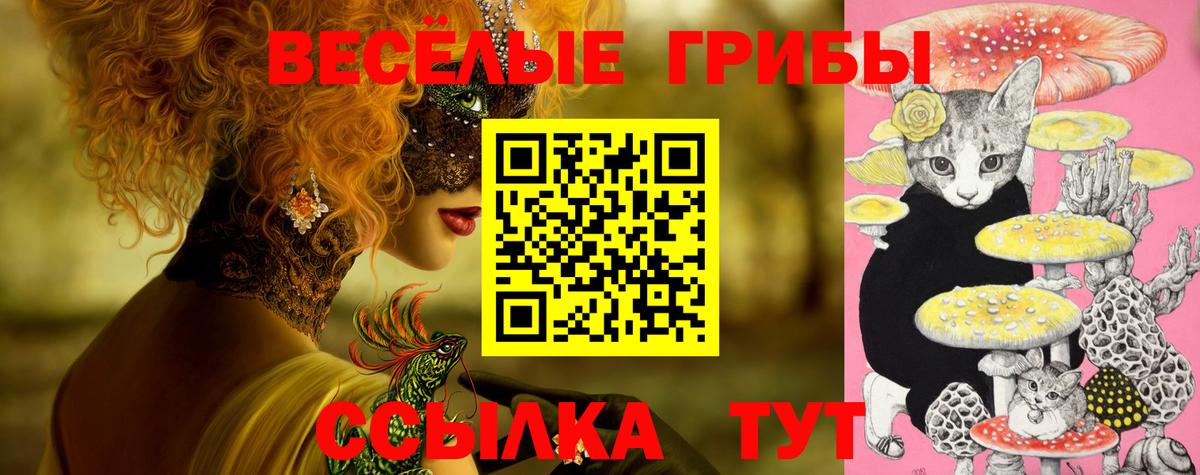 Галлюциногенные грибы Cubensis Лесной
