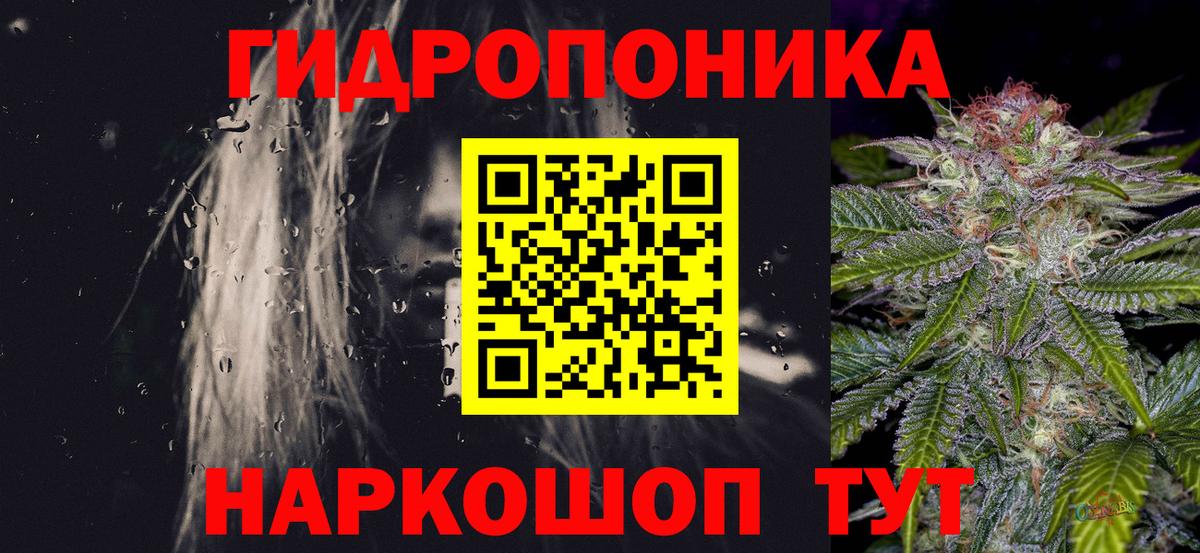 Лесной  Бошки Шишки конопля  Вход с VPN  Бошки Шишки семена  Бошки Шишки марихуана 